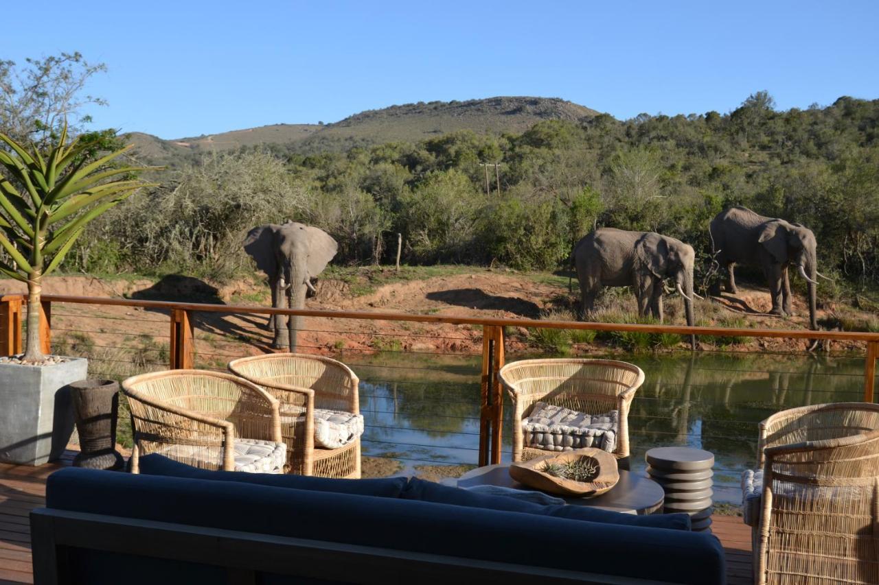 Barefoot Addo Elephant Lodge Exteriér fotografie