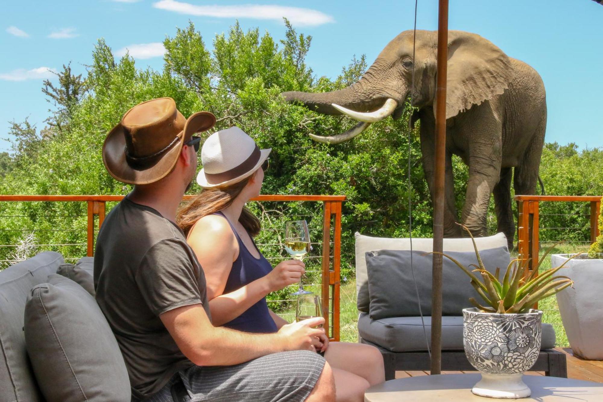 Barefoot Addo Elephant Lodge Exteriér fotografie